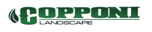 Copponi Landscape Large Logo space 500