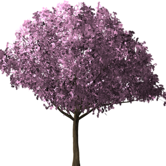 copponi – Spring – Tree 1