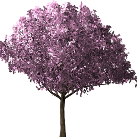 copponi – Spring – Tree 1